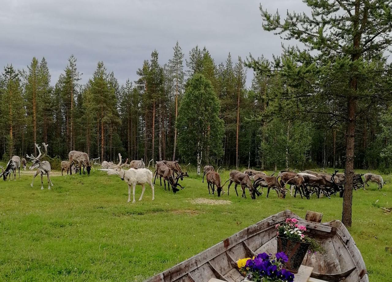 Vuotson Maja B&B Luaran gambar